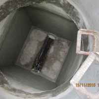 IMG_1229.JPG